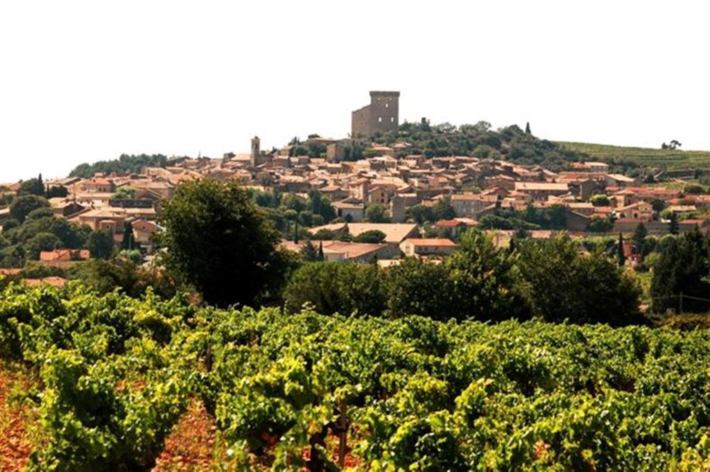Le Mas De L'Amandier Saint-Saturnin-les-Avignon Luaran gambar